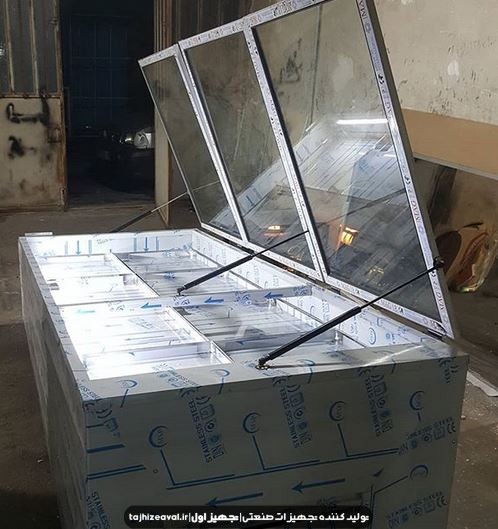 یخجال خوابیده ماهی فروشی