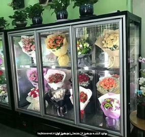 یخچال ویترینی گل فروشی